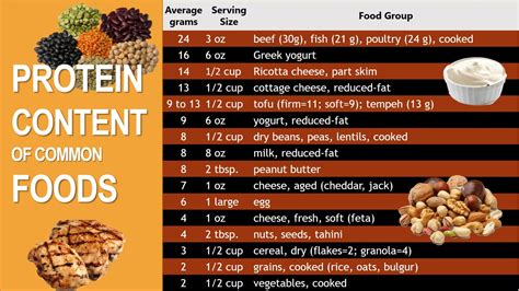 Protein Content Of Common Foods Sheila Kealey