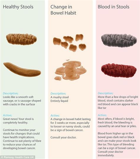 Protein Effects: Poop Facts Revealed