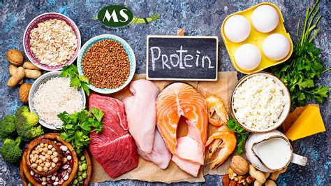 Protein Is The Most Essential Nutrient Find Some Of The Protein Myth