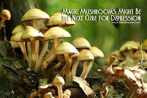 Psilocybin And Depression: Magic Mushrooms Found To Be Effective In 80% ...