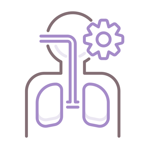 Respiratory System Free Icon