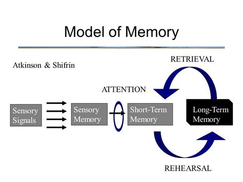 Retrieval Psychology Memory Project