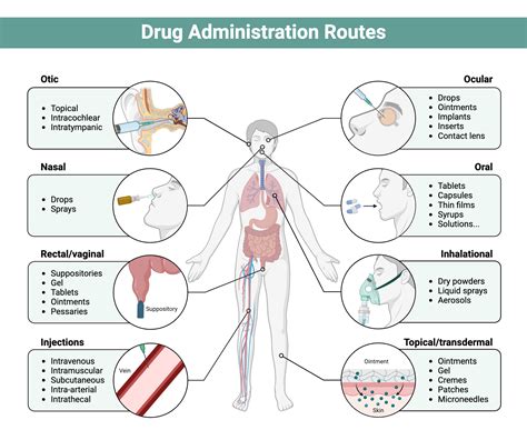 Routes Of Drug Administration