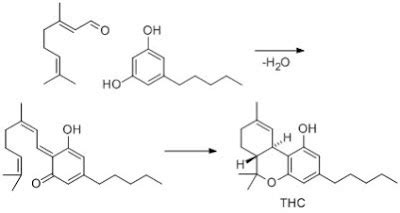 Science Minus Details Weed Science Or Activation Explained