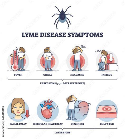 Sketchy Tick Disease: Know Symptoms