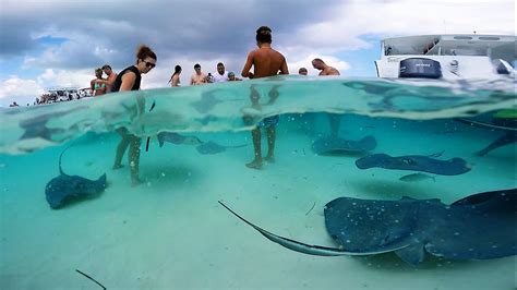 Stingray City Sandbar Tours Private Boat Tour Grand Cayman Snorkel