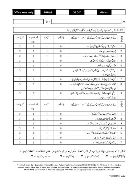 The Phq9 And Gad7 Clinical Assessment Tools In Urdu Pdf Pdf