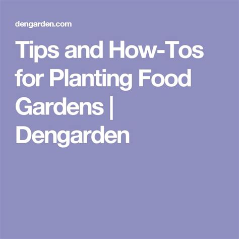 Tips And How Tos For Planting Food Gardens Dengarden