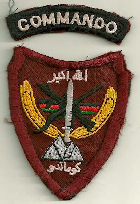 Vance Amp 39 S Army Insignia Blog Oda 3113 Afghanistan