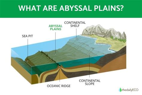 Vital Information About The Abyssal Plains That Is Worth Reading