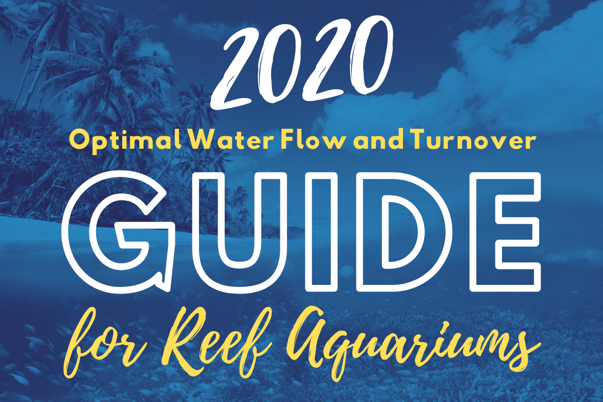 Water Flow In A Reef Aquarium A Comprehensive Guide By Michael Paletta