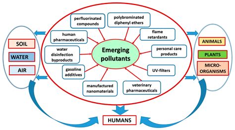 Water Free Full Text Occurrence And Fate Of Emerging Pollutants In