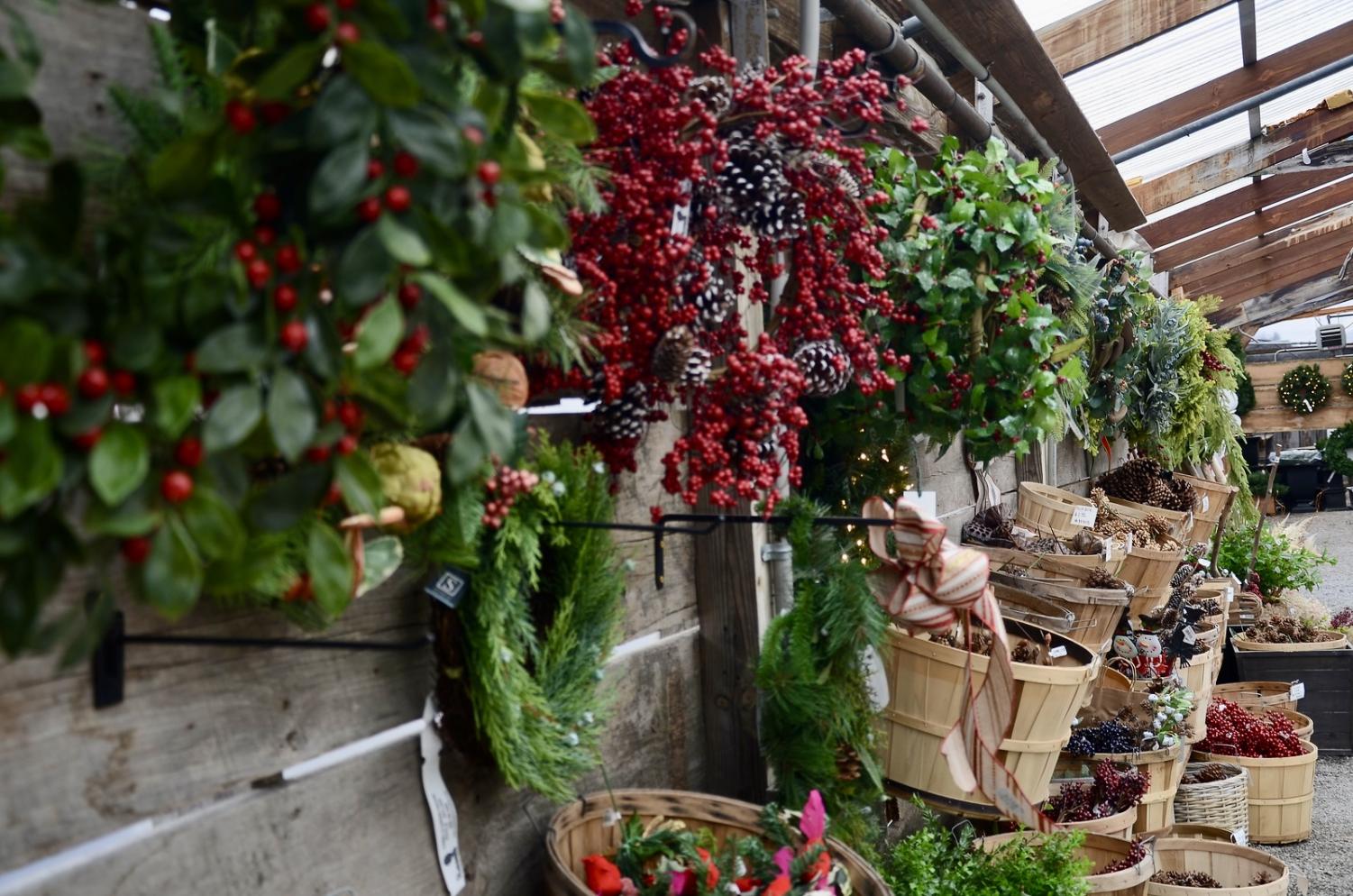 Wayland Student Press A Peek Into Russell S Garden Center During The