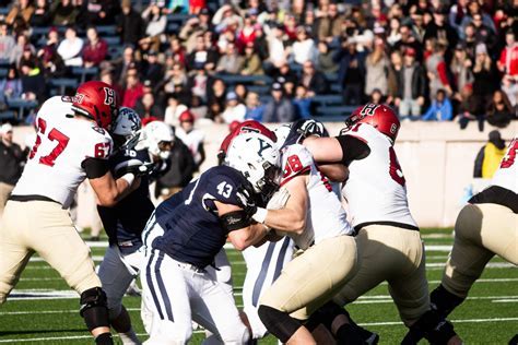 What Drives Harvard Yale Rivalry? Expert Insights