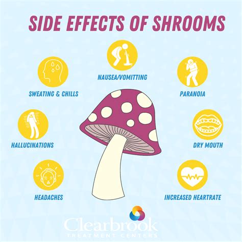 What Happens After Shrooms Wear Off? Recovery Tips