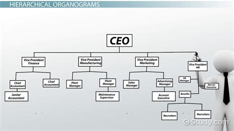 What Is An Organogram Definition Structure Example Video