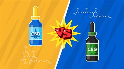 What Is Cbg Vs Cbd? Natural Relief Guide