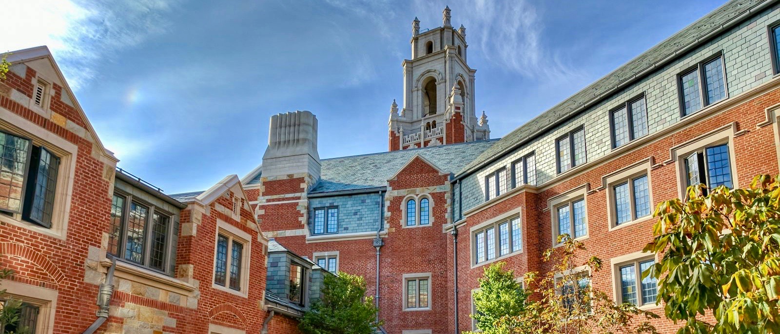 What Is Yale's Rank? Unlock University Insights