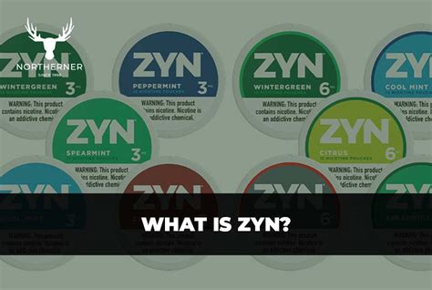 What Is Zyn The Ultimate Guide To Zyn Northerner Us