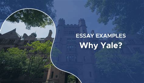 Why Yale Essay Examples Yale Essays That Worked Best Guide