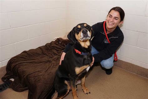 Yale Humane Society: Find Local Animal Help