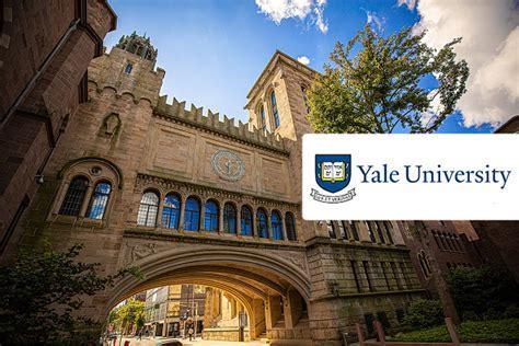 Yale Immunobiology: Phd Admissions Made Easy