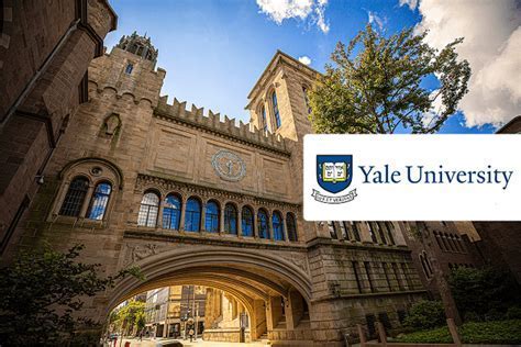 Yale Phd Program Overview: Expert Guidance