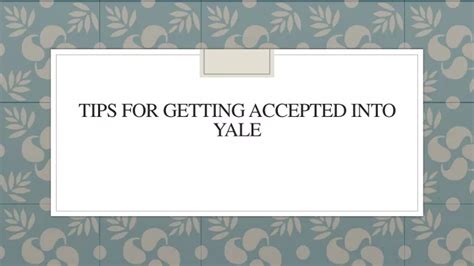 Yale Requirements: Get Accepted Easily